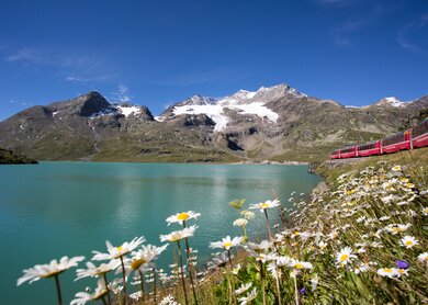 Bernina Express | © Rhätische Bahn / Christoph Benz