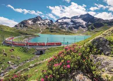 Bernina_Express_5 | © Tobias Ryser