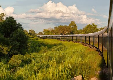 Der Rovos Rail biegt um eine Kurve in einer grünen tropischen Landschaft im Südlichen Afrika | © Jos Belman