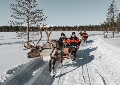 Rentierschlittenfahrt | © Visit Finnland/Jani Kärppä
