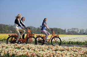 NL_HOL_X96_Stadt__Strand_und_Tulpen_Tour__1474888900.jpg | © Rob Donders