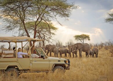 Auf_Safari | © Nomad Tansania