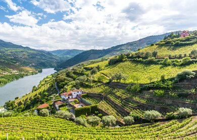 Douro Tal | © GettyImages.com/Simon Dannhauser