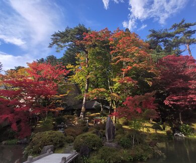 Eine Insel im leuchtenden Herbstlaub in einem kleinen, künstlich angelegten See, auf die eine typische japanischen Brücke führt in Nikko, Japan | © Jens Hinsche