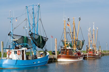 Garnelentrawler in einem kleinen Hafen in der Naehe von Bremerhaven | © Gettyimages.com/hbbolten