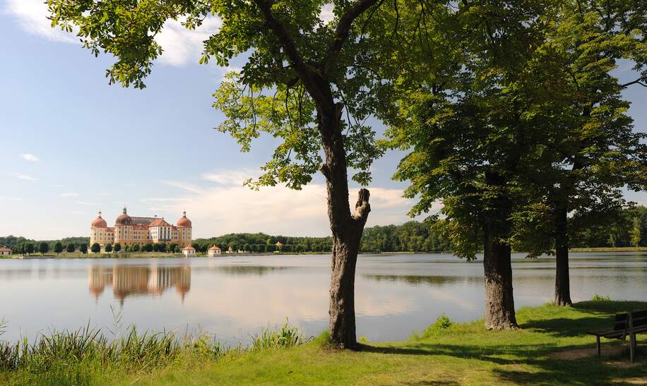 Blick auf das idyllisch an der Elbe gelegenen Schloss Moritzbug in der Nähe von Dresden | © Gettyimages.com/Rolphus