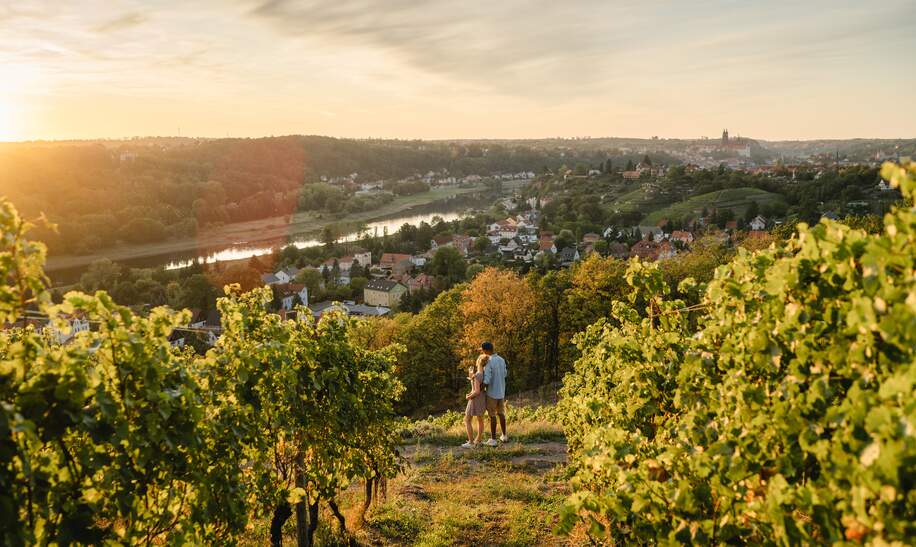 Dresden Ausflüg zu Zweit zur Weinprobe mit Blich über die Weinberge des Elblandes in der Nähe von Meißen | © Erik Gross (DML-BY)