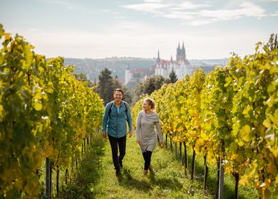 Weinbergswanderung vor den Toren Meissens bei Dresden | © Sebastian Weingart (DML-0)