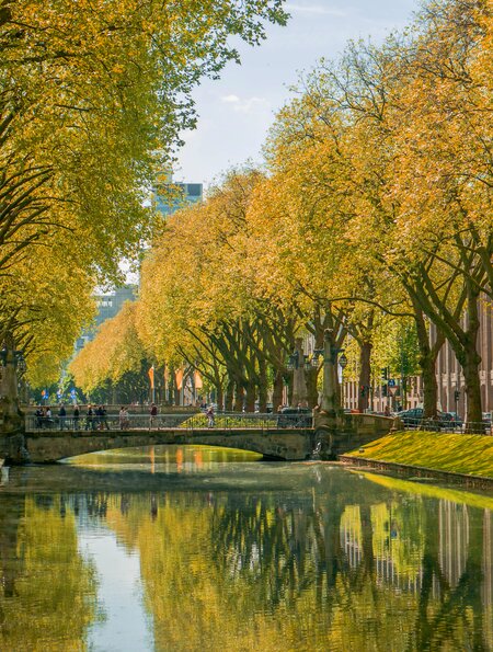 Die Einkaufsstrasse Koenigsallee im Herbst | © Gettyimages.com/Joel-Noah Charanghattu