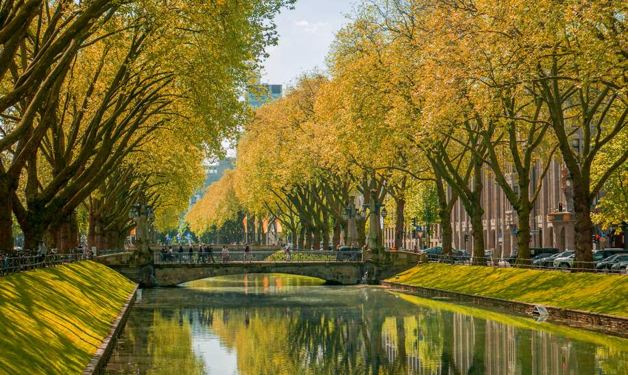 Die Einkaufsstrasse Koenigsallee im Herbst | © Gettyimages.com/Joel-Noah Charanghattu