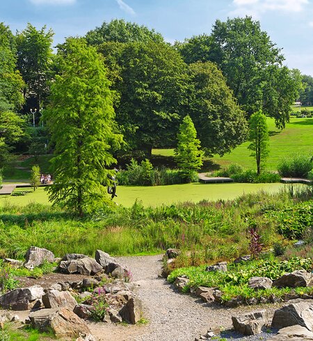 Stadtpark Grugapark an einem sonnigen Tag in Essen | © Gettyimages.com/verve231