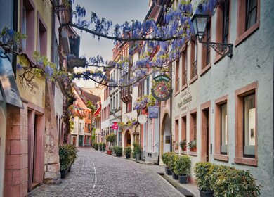Strasse in Freiburg im Frühling mit fluehenden Blumen | © Pixabay.com/Paul_Henri