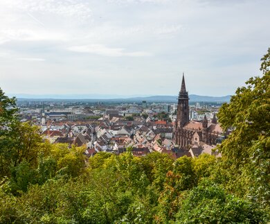 Die Altstadt und Kathedrale von Freiburg im Breisgau von einem Huegel | © Gettyimages.com/Asvolas
