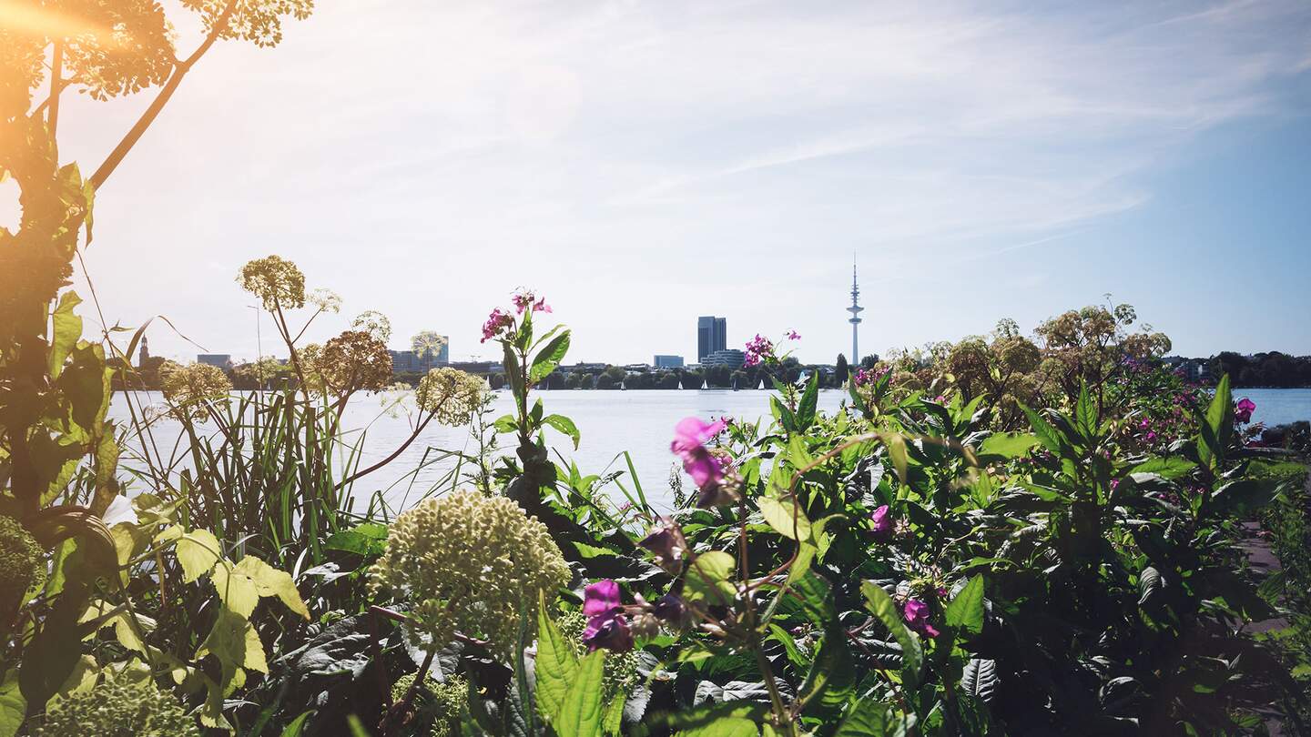 Alstersee in Hamburg mit Stadtbild unter blauem Himmel im Sonnenlicht  | © Gettyimages.com/Christian Horz/g