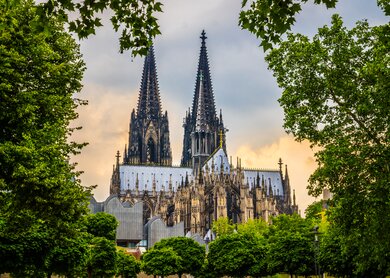Kölner Dom in Köln, aufgenommen vom Fuße des Doms mit Bäumen im Vordergrund | © Gettyimages.com/Jan de Waal