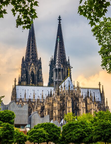 Kölner Dom in Köln, aufgenommen vom Fuße des Doms mit Bäumen im Vordergrund | © Gettyimages.com/Jan de Waal