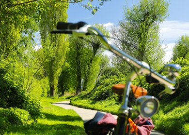 Radweg durch die Rheinauen in der Nähe von Köln, ein Fahrradlenker im Vordergrund | © Gettyimages.com/horstgerlach
