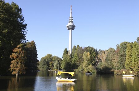 buga_2023_mannheim | © DHR Dominikm Rossbach