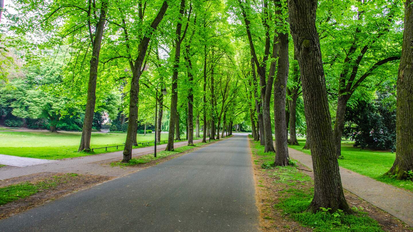 Radweg an der Promenade in Muenster | © Gettyimages.com/golibo