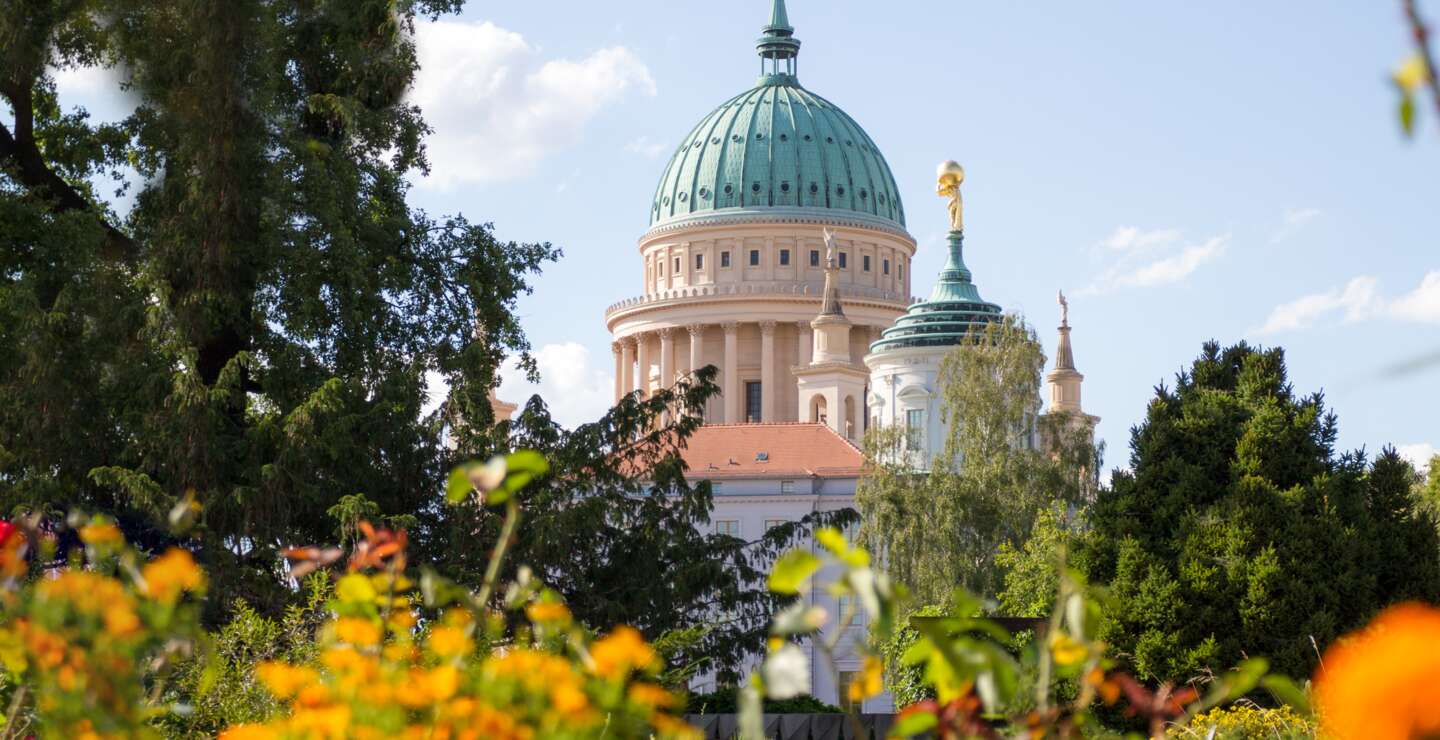 Rathaus in Potsdam hinter einem bluehenden Park | © Gettyimages.com/jokos78
