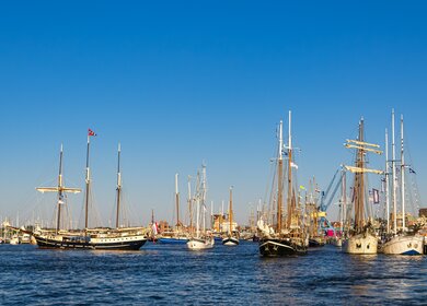 Windjammer auf der Hanse Sail in Rostock mit vielen Segelbooten bei blauem Himmel | © Gettyimages.com/RicoK69