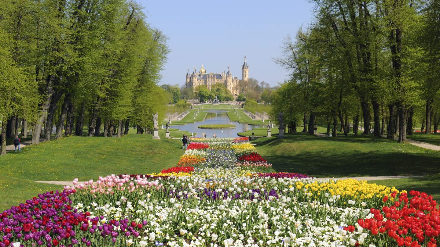 Bluehende Tulrpen im Schlossgarten des Schweriner Schlosses | ©  Gettyimages.com/hsvrs