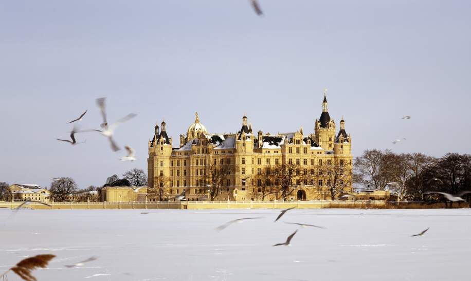 Das Schweriner Schloss im Winter mit Voegeln | ©  Gettyimages.com/anjafranzke