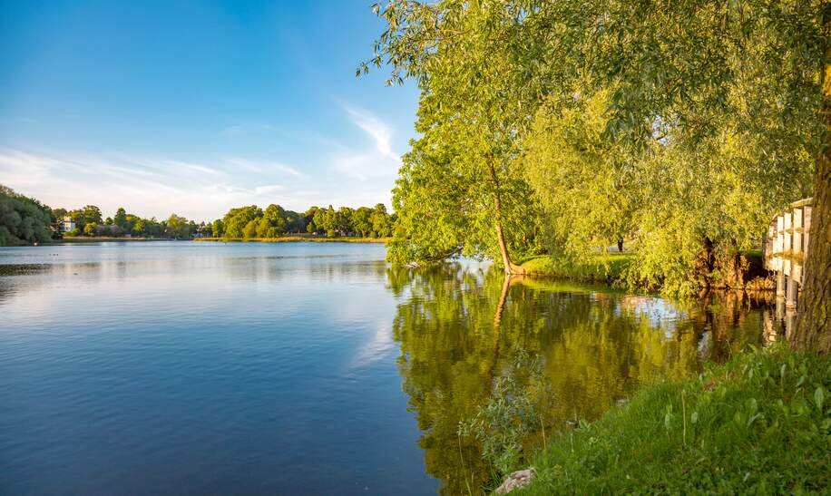 Blick vom Moorteich auf den Knieperteich, Stralsund, bei Sonnenschein | © Gettyimages.com/Sabine Wagner