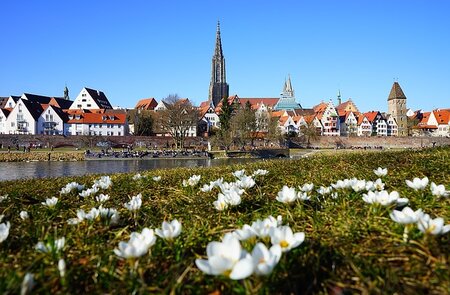 Panoramablick vom Stadtzentrum in Ulm mit Fluss Donau und Kirchturm mit Blumen im Vordergrund | © Pixabay.com/Hans Braxmeier
