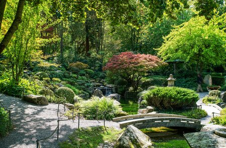 Traumhafter Blick auf den japanischen Garten in Wuerzburg bei gutem Wetter | © Gettyimages.com/Fotofantastika