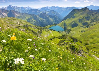 Gettyimages.com/wingmar | © Traumhafte Panoramawanderung vom Nebelhorn entlang des Laufbacher Ecks ueber Schneck mit Blick auf den Seealpsee nahe Oberstdorf 