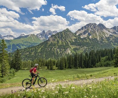 Frau auf dem Mountainbike auf dem Fellhorn in den Allgaeuer Hochalpen mit Trettach und Maedelegabel im Hintergrund, Allgaeu | © Gettyimages.com/Uwe Moser
