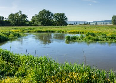 Ein Altarm der Altmuehl nahe der Ortschaft Trommetsheim. Zwischen den Orten Gunzenhausen und Treuchtlingen gelegen | © Gettyimages.com/Tree4Two