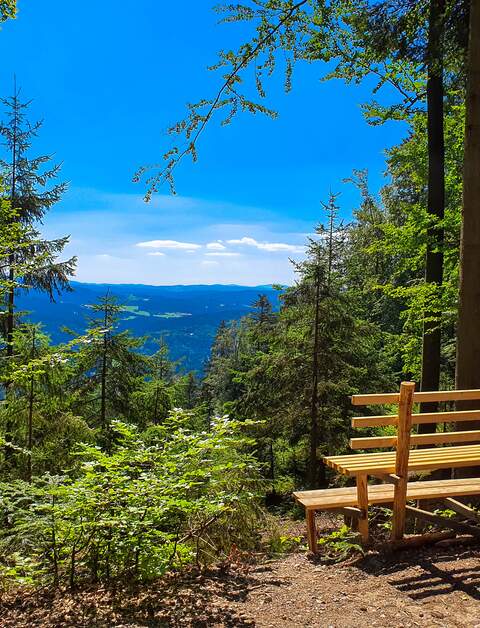 Natürlicher Aussichtspunkt mit einer Holzbank im Vordergrund in der Nähe von Bodenmais im Bayerischen Wald | © Gettyimages.com/Eisenlohr