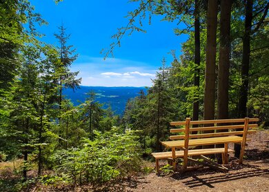 Natürlicher Aussichtspunkt mit einer Holzbank im Vordergrund in der Nähe von Bodenmais im Bayerischen Wald | © Gettyimages.com/Eisenlohr
