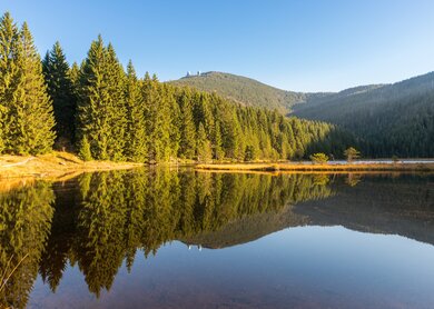 Kleiner Arber See im Bayerischen Wald mit Blick auf den Großen Arber  | © Gettyimages.com/StGrafix