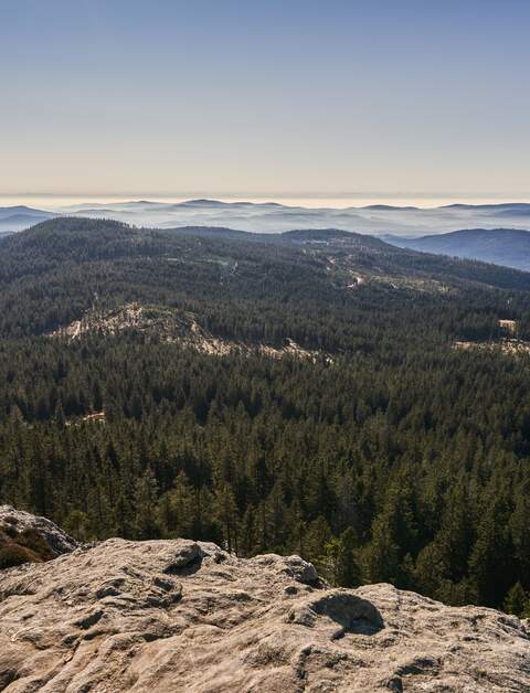 Großer Arber mit Fernsicht und Wald, Berg, Bodenmais, Nationalpark Bayerischer Wald. Nebelschwaden in der Ferne | © Gettyimages.com/dirschl