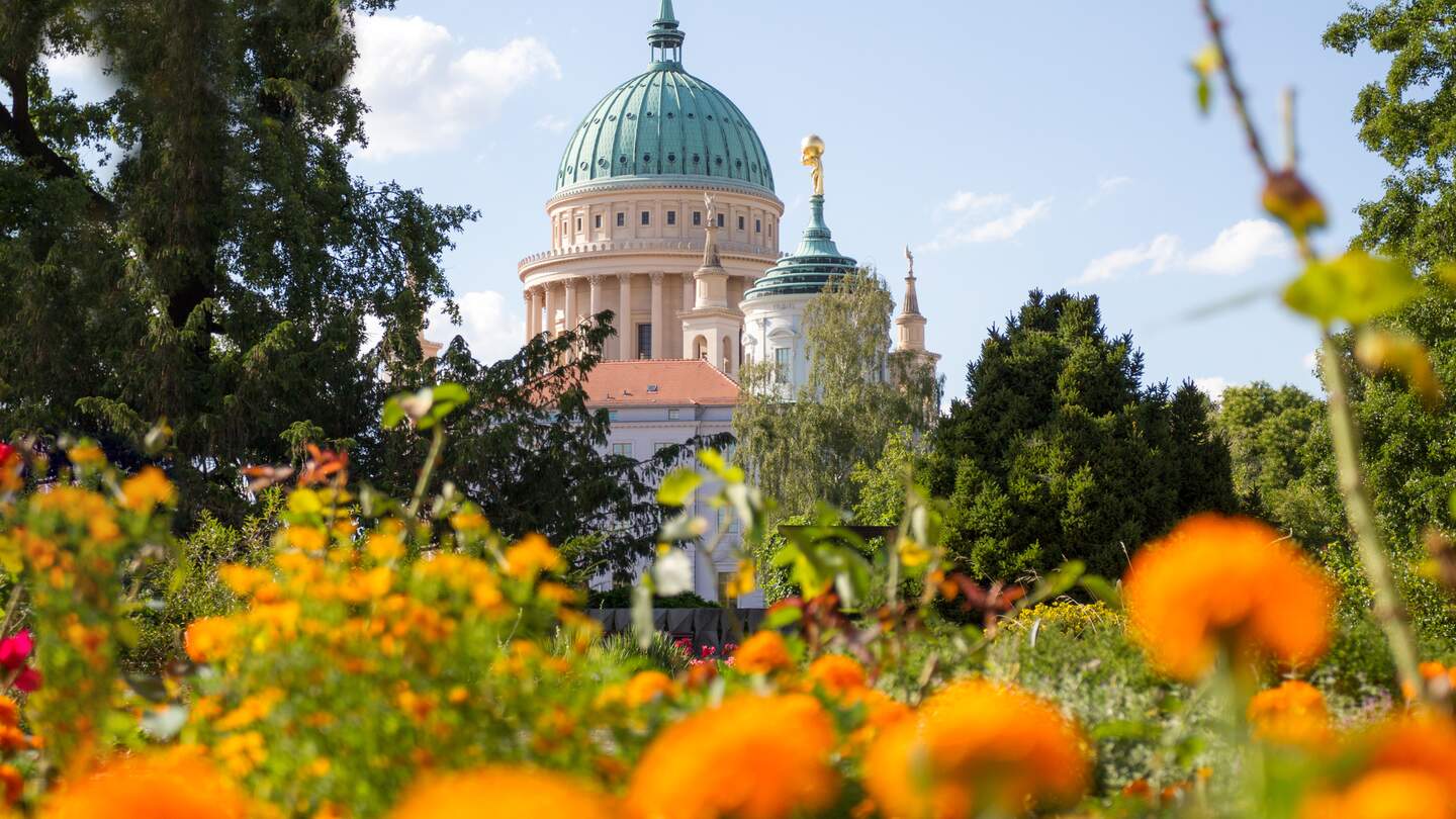 Kuppel und altes Rathaus in Potsdam hinter einem bluehenden Park | © Gettyimages.com/jokos78