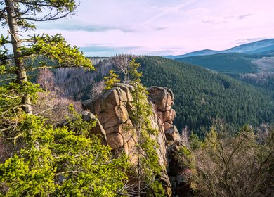 Blick ueber die Landschaft des Naturschutzgebietes Harz | © Gettyimages.com/animafiora