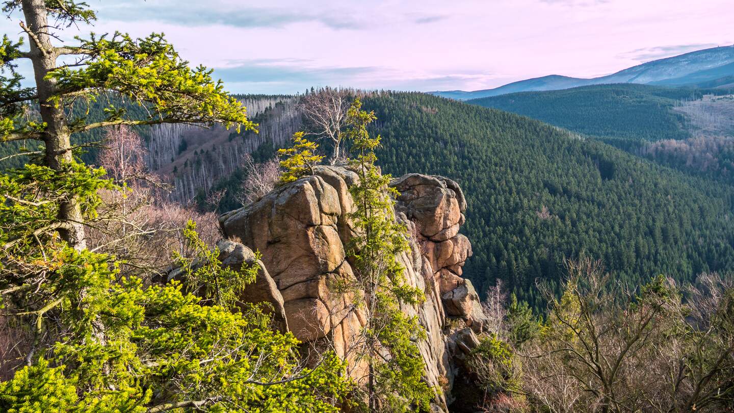 Blick ueber die Landschaft des Naturschutzgebietes Harz | © Gettyimages.com/animafiora