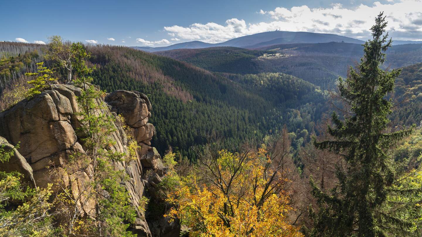 Blick von der Rabenklippe auf die umliegen Waelder im fruehen Herbst | © Gettyimages.com/ae-photos