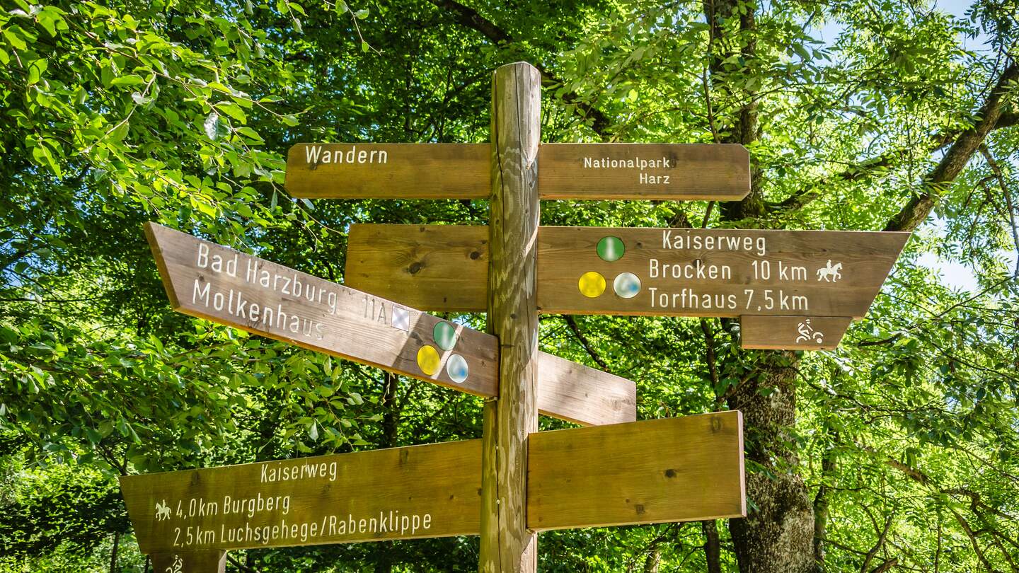 Mehrere Wanderschilder an einer Kreuzung im Nationalpark Harz mit Baeumen im Hintergrund | © Gettyimages.com/atom
