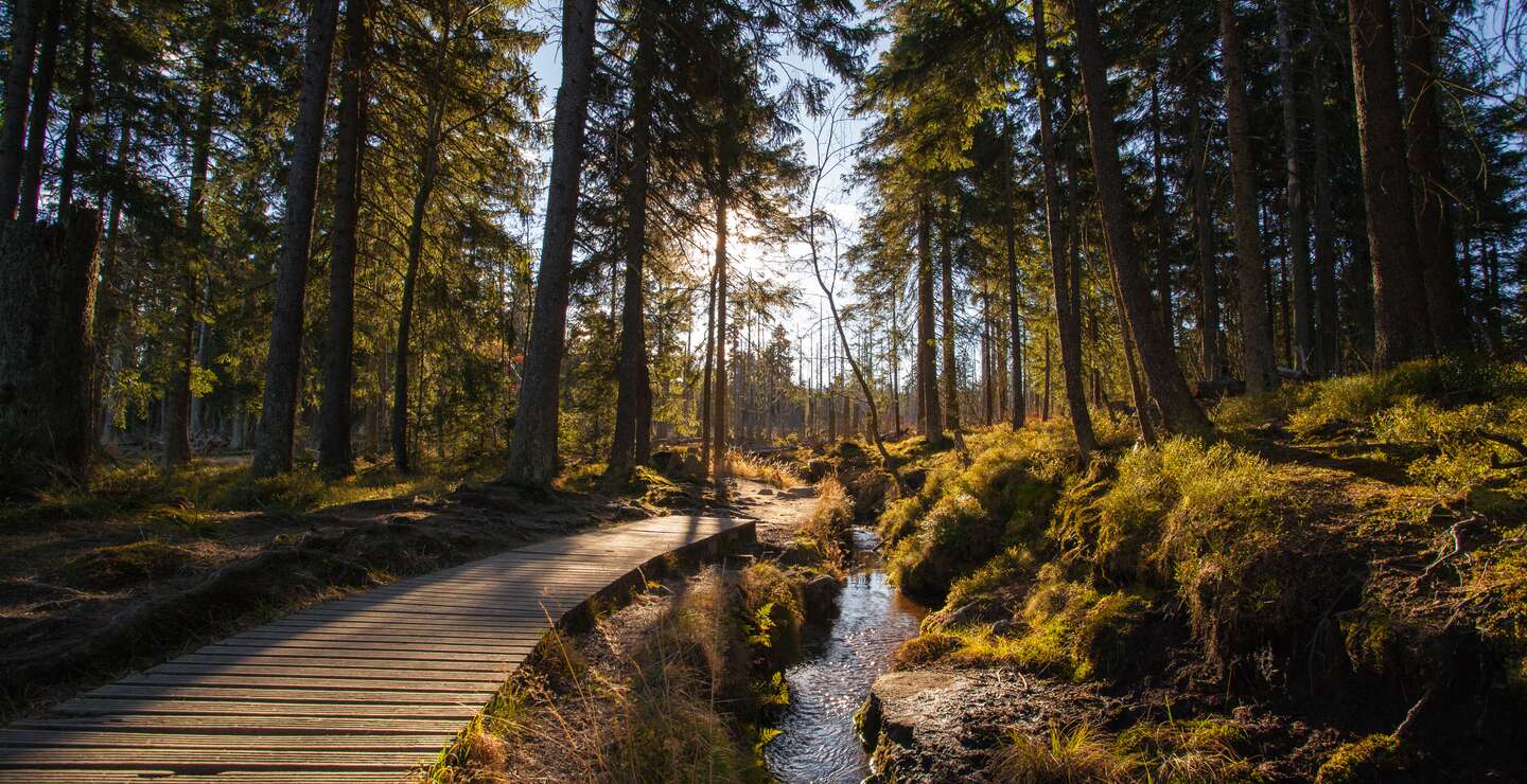 Herbst in deutschen Bergen und Waeldern - Waehrend einer Wanderung durch einige deutsche Mittelgebirge entstanden diese Landschafts-, Panorama- und Naturaufnahmen. Standort war in der Naehe von Schierke - Harz / Brocken. | © Gettyimages.com/kaywiegand