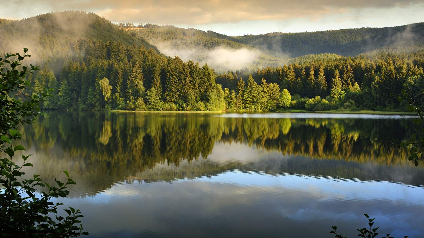 Soesestausee im Harz National Park, Deutschland mit Nebel | © Gettyimages.com/fotografas