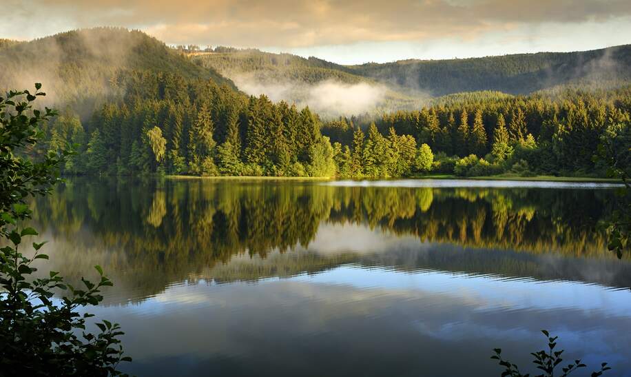 Soesestausee im Harz National Park, Deutschland mit Nebel | © Gettyimages.com/fotografas