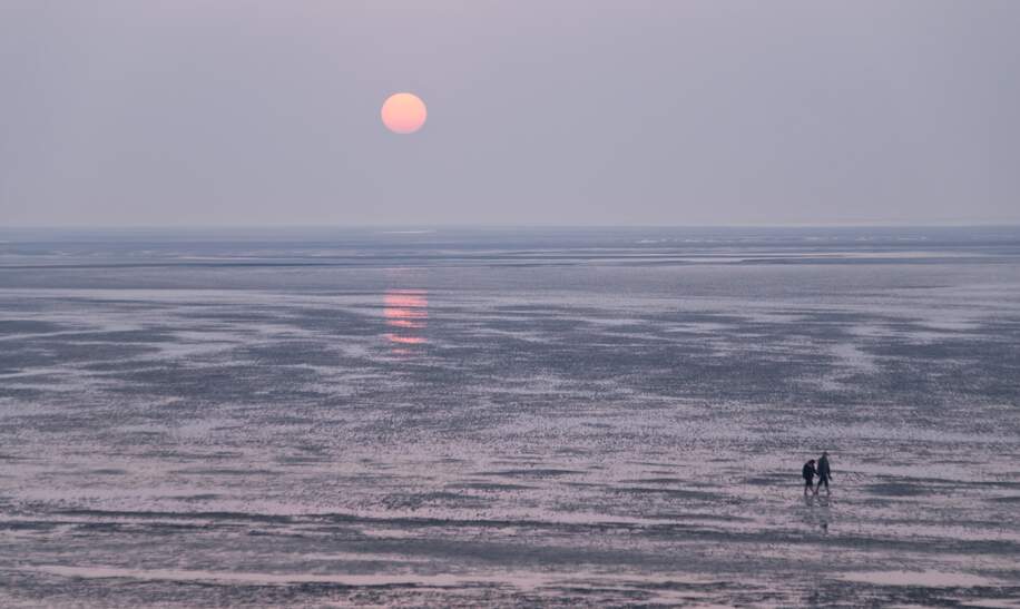 Zwei Menschen spazieren durchs Wattmeer in der Abendsonne | © Gettyimages.com/3quarks