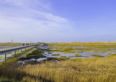 Kuestenlandschaft von St. Peter-Ording Deutschland, mit Steg durchs Wasser | © Gettyimages.com/pusteflower9024