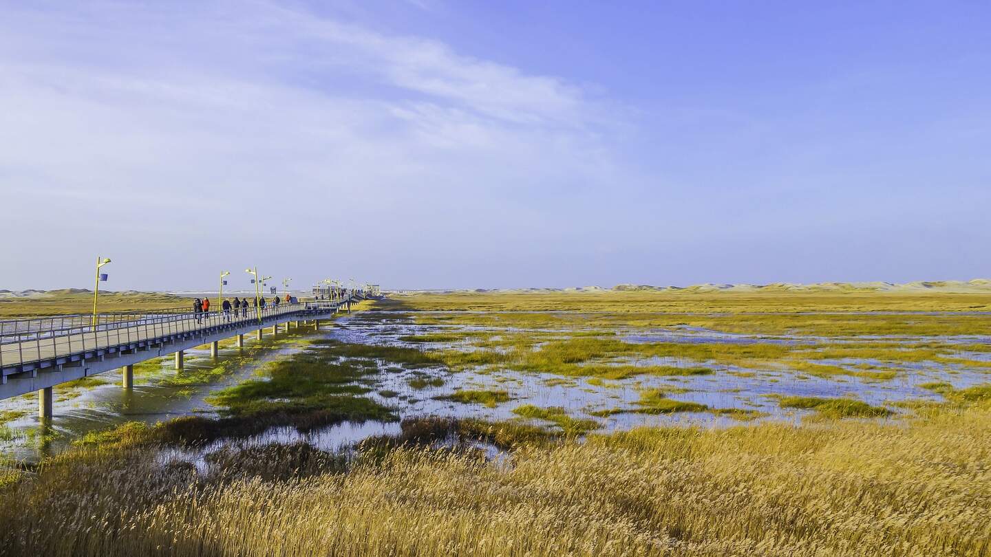 Kuestenlandschaft von St. Peter-Ording Deutschland, mit Steg durchs Wasser | © Gettyimages.com/pusteflower9024