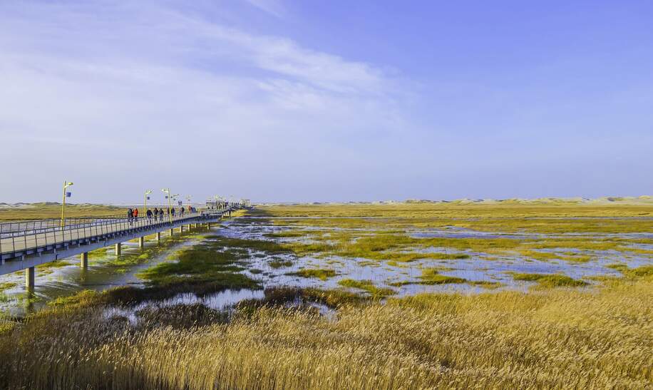 Kuestenlandschaft von St. Peter-Ording Deutschland, mit Steg durchs Wasser | © Gettyimages.com/pusteflower9024