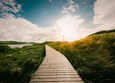 Ein Holzsteg führt bei Sonnenschein durch Wiesen und Wasser zu einem rot weißen Leuchturm | ©  Gettyimages.com/Manuel Gutjahr